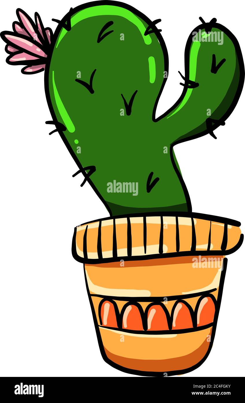 Cactus dans pot, illustration, vecteur sur fond blanc Illustration de Vecteur