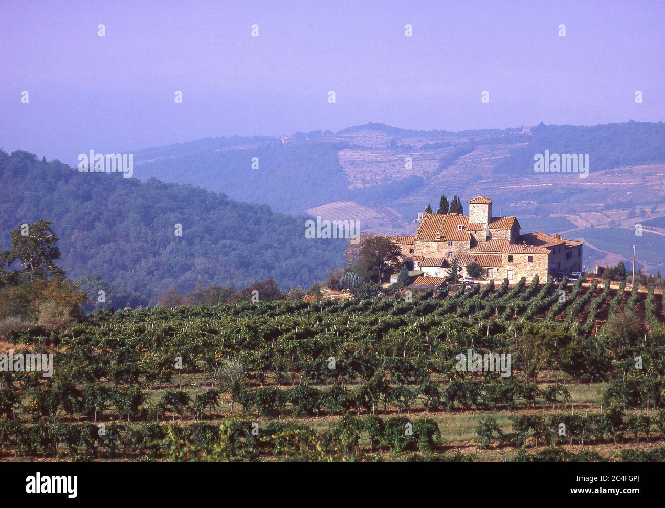 Villa toscane et vignoble, province de Lucca, région Toscane, Italie Banque D'Images