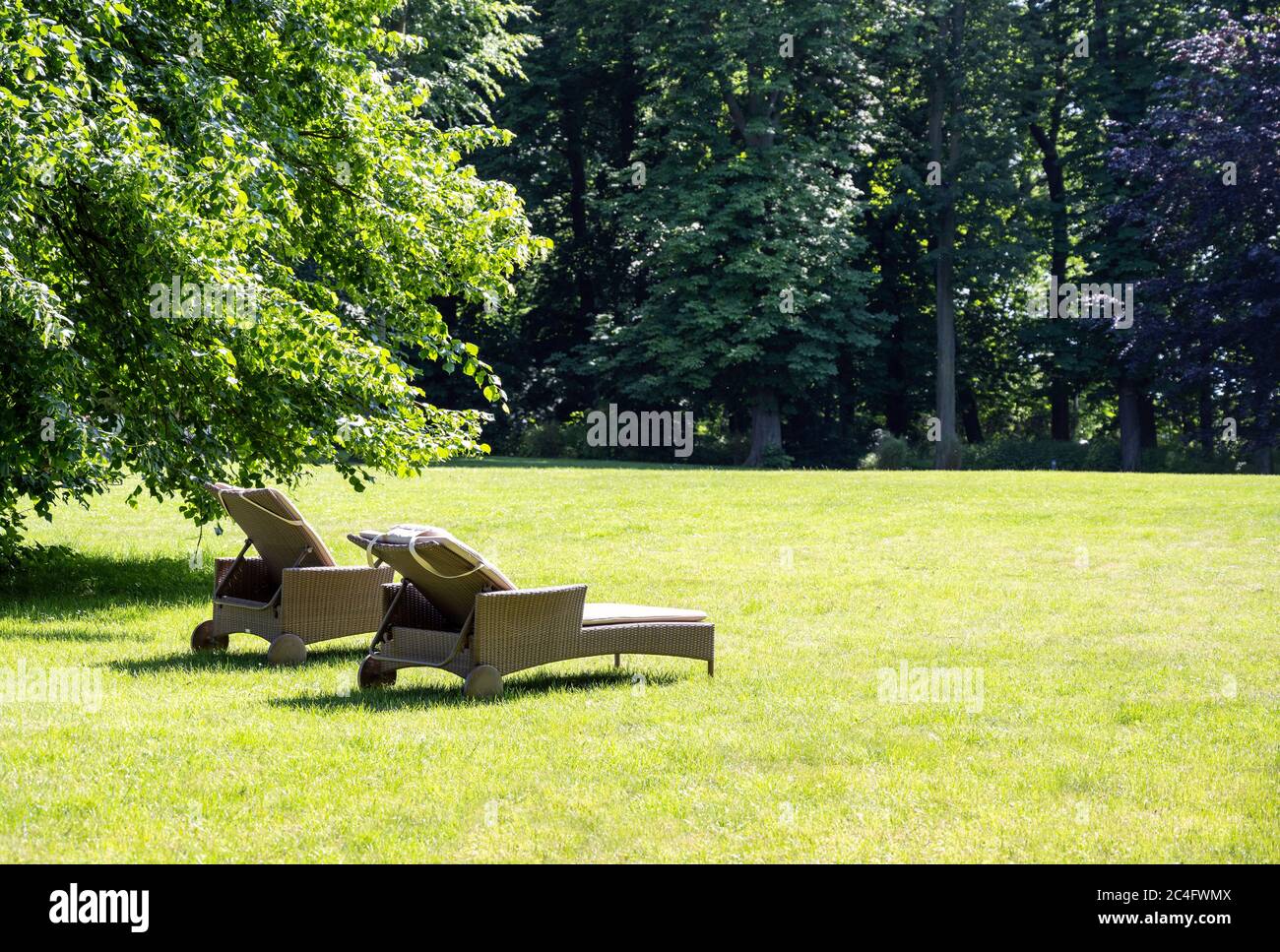 Chaises longues confortables pour se détendre sous un vieux arbre sur la pelouse dans un parc lors d'une journée ensoleillée d'été, espace de copie, concentration sélectionnée Banque D'Images
