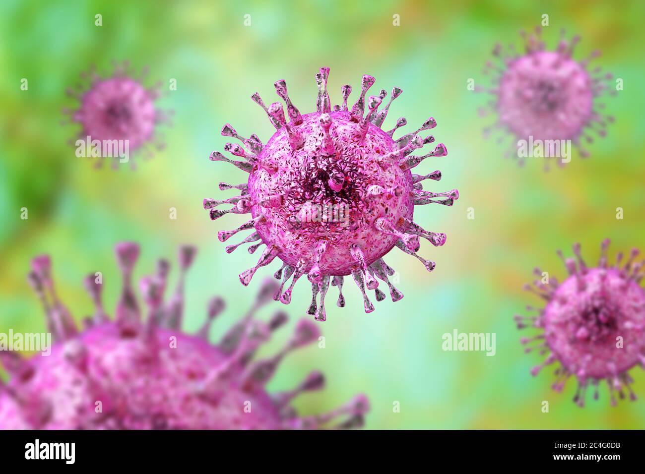 Le cytomégalovirus humain (CMVH), illustration de l'ordinateur. Le CMVH est membre de la famille des Herpesviridae. Il a un très haut taux d'infection et est l'une des principales causes de maladie dans les nouveau-nés vulnérables et les patients immunodéprimés, mais n'a pas l'habitude de causer la maladie chez les adultes en bonne santé. Banque D'Images