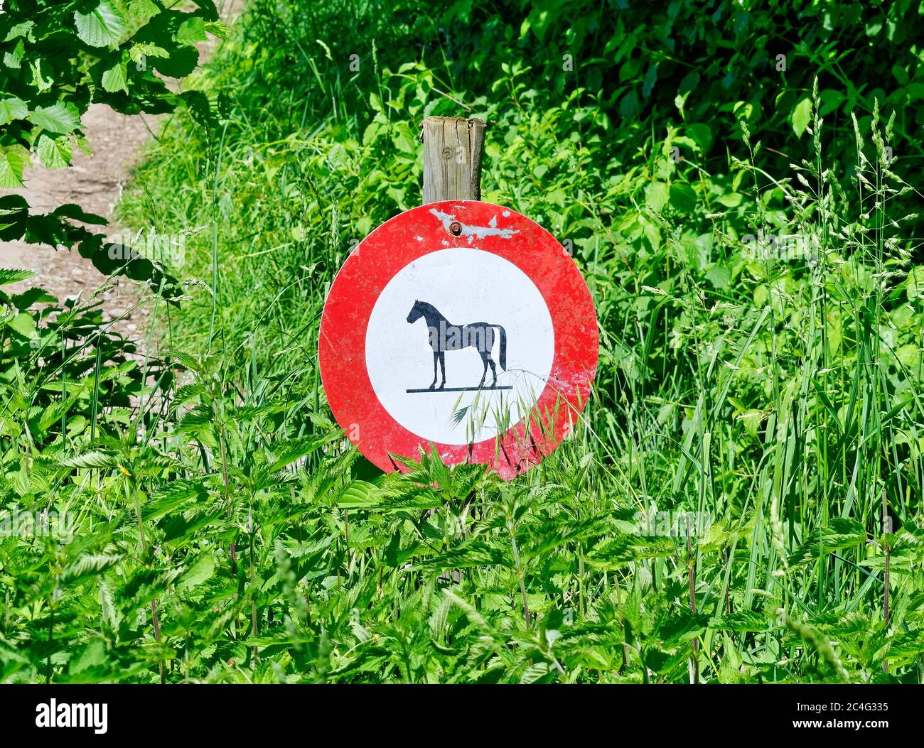 Aucun signe de chevaux près d'un chemin de forêt Banque D'Images