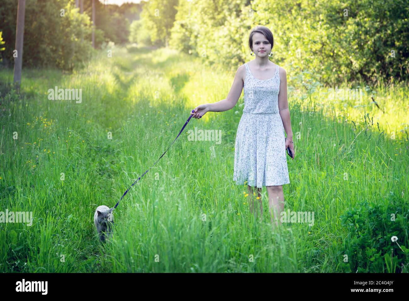 Une adolescente marchant avec un chat mâle à cheveux courts britannique sur une laisse sur l'herbe verte à la campagne, le jour d'été ensoleillé Banque D'Images