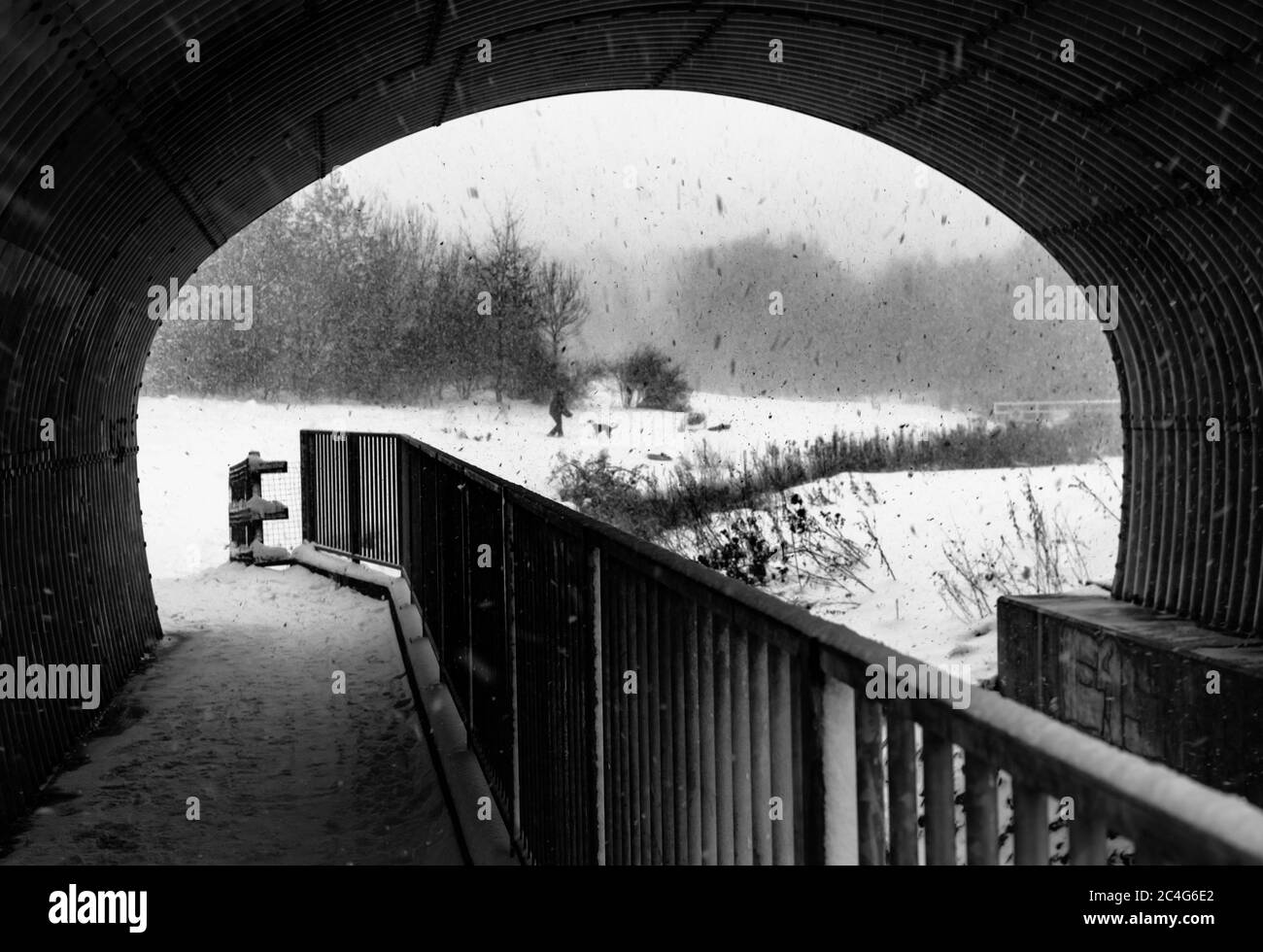 Tempête de neige vue d'une personne et d'un chien piétons jouant en arrière-plan. Banque D'Images