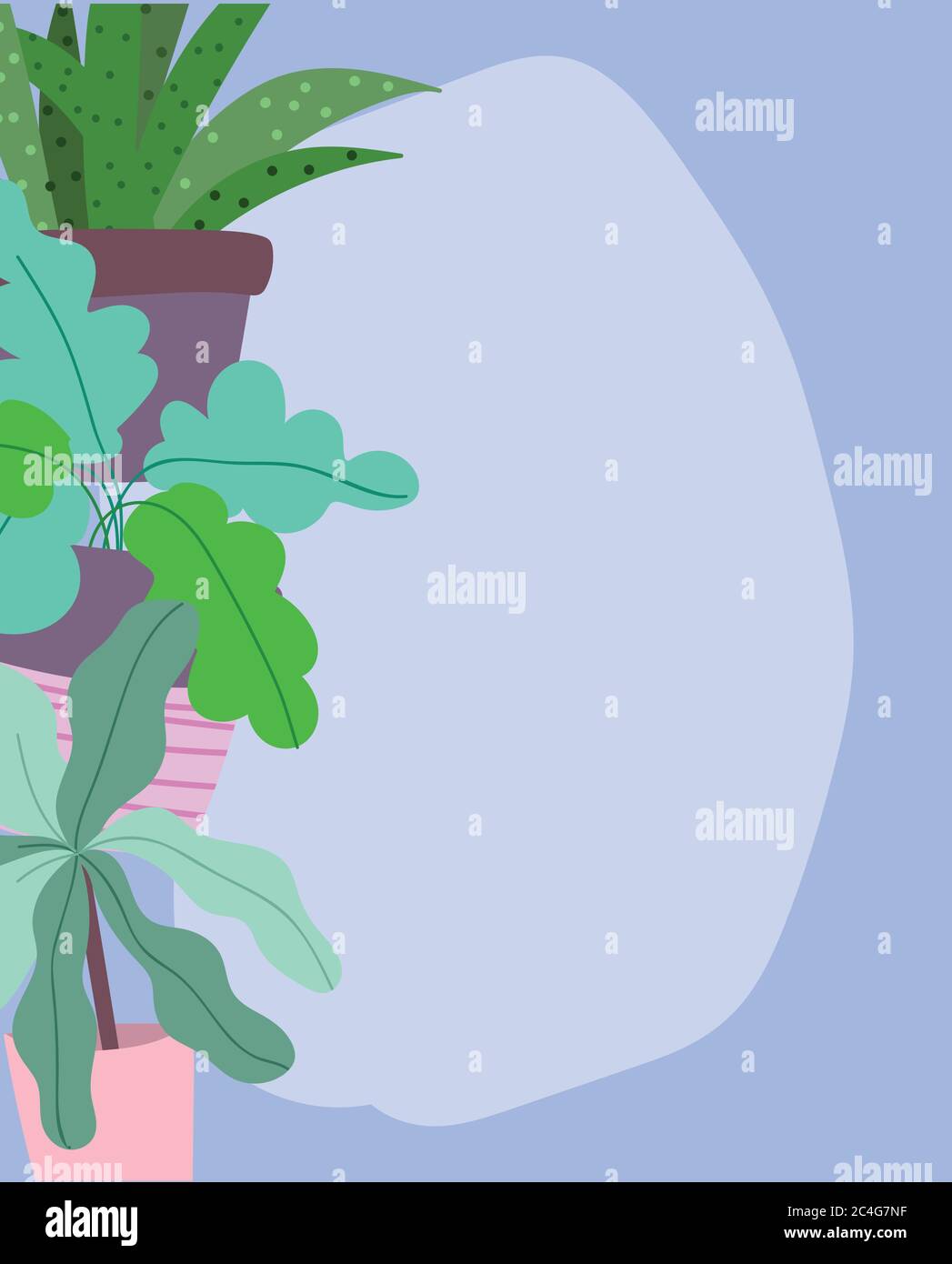 plantes en pot feuillage feuilles végétation décoration intérieur arrière-plan illustration vectorielle Illustration de Vecteur