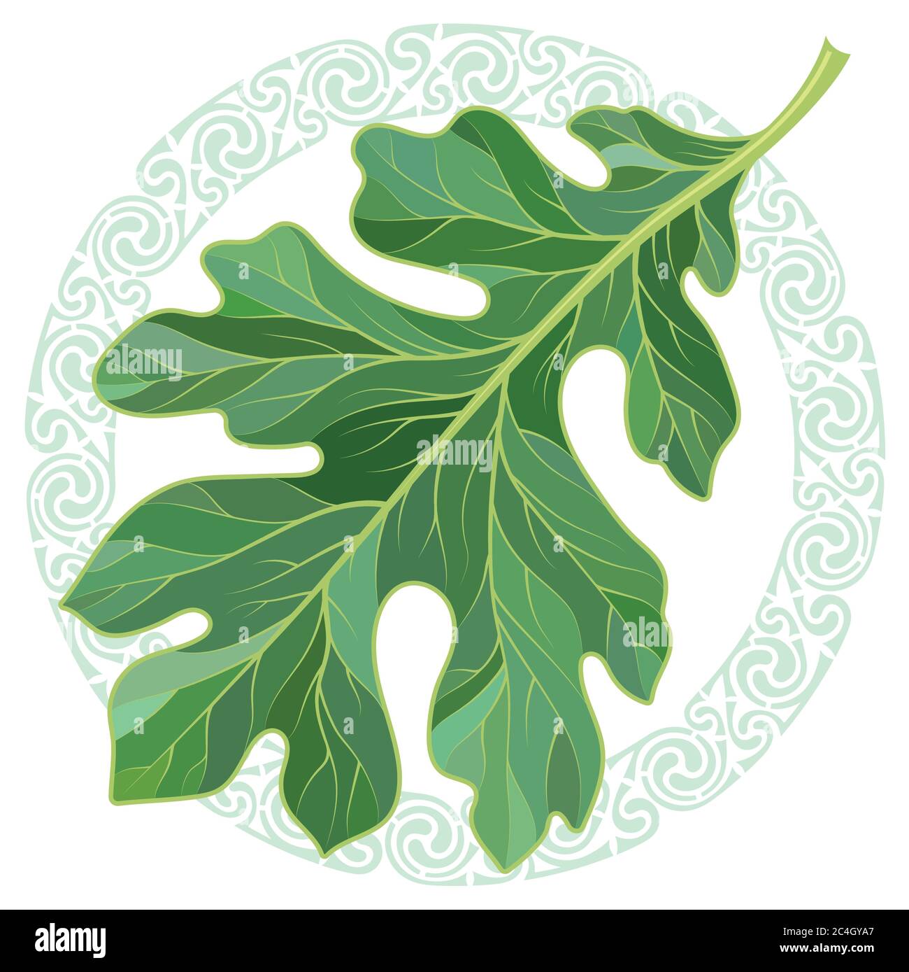 Feuille de chêne à colorier l'été et ornement magique celtique Illustration de Vecteur