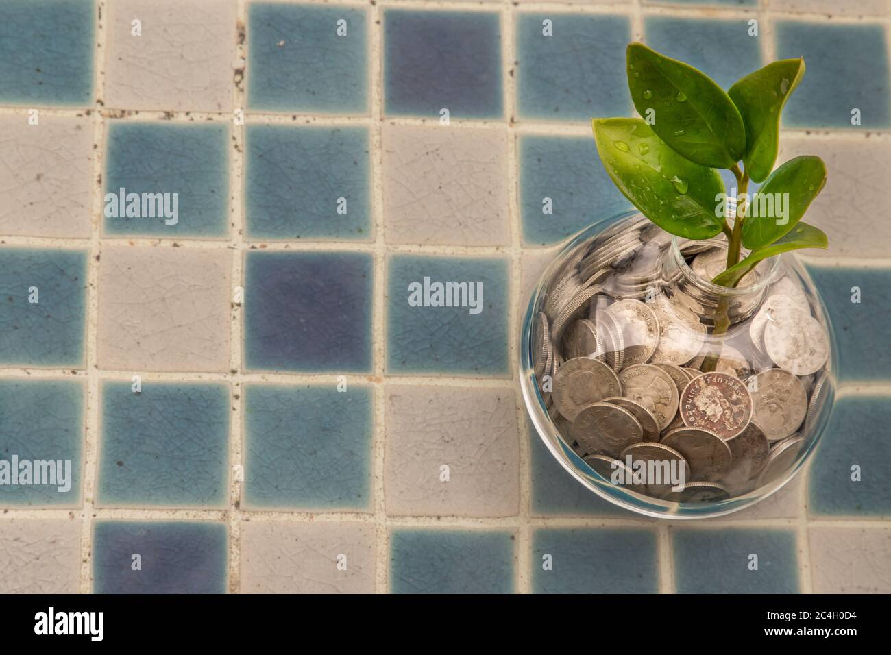 Les jeunes pousses qui poussent sur la pile de pièces dans une bouteille de verre sur fond de piscine symbole pour la croissance de l'entreprise. Concept d'investissement pour la croissance et l'épargne Banque D'Images