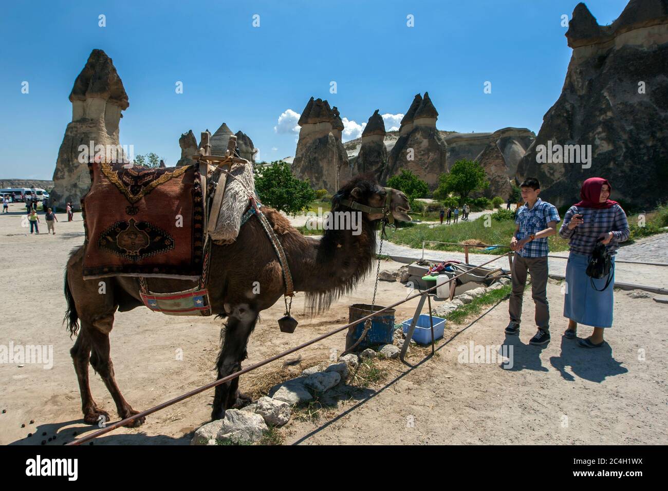 Les touristes contemplent une promenade à dos de chameau à Pasabagi près de Zelve dans la région de Cappadoce en Turquie. En arrière-plan, stand de cheminées de fées. Banque D'Images