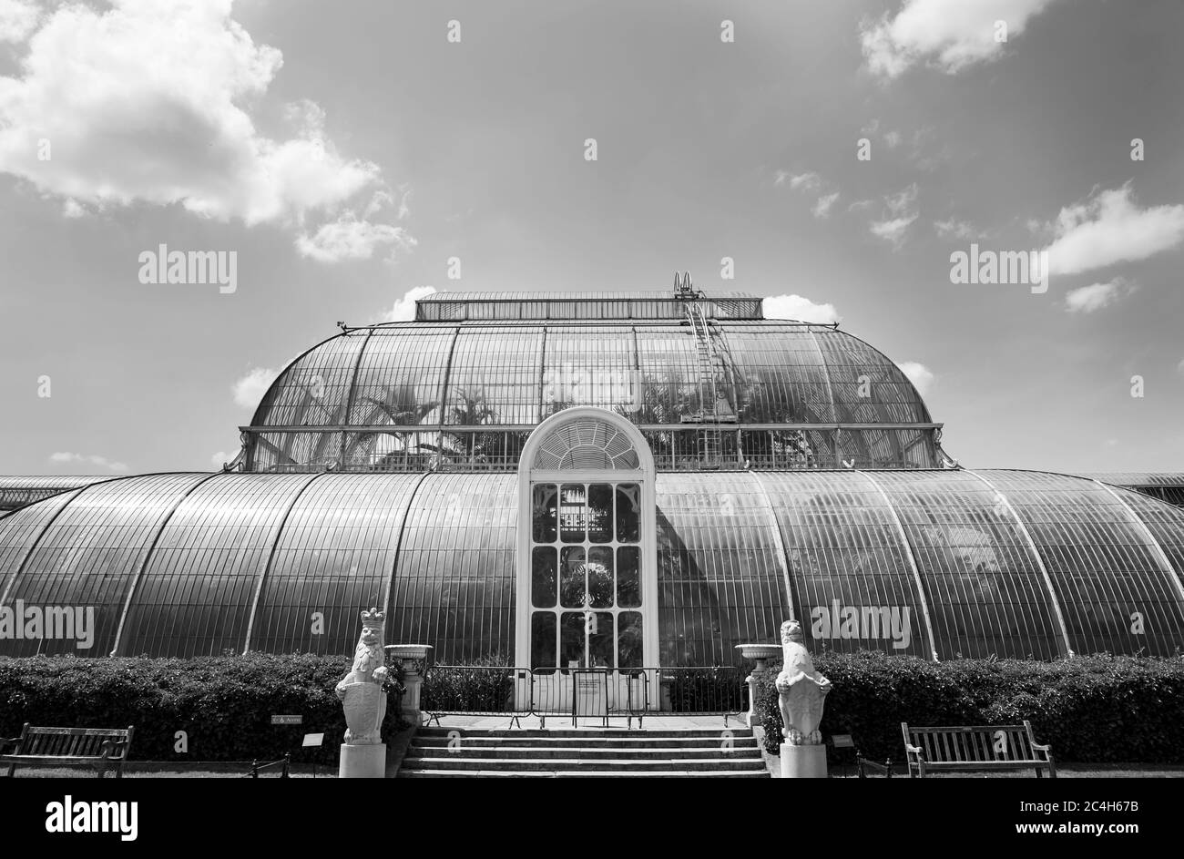 Vue de face du Palm House Conservatory en monochrome Banque D'Images