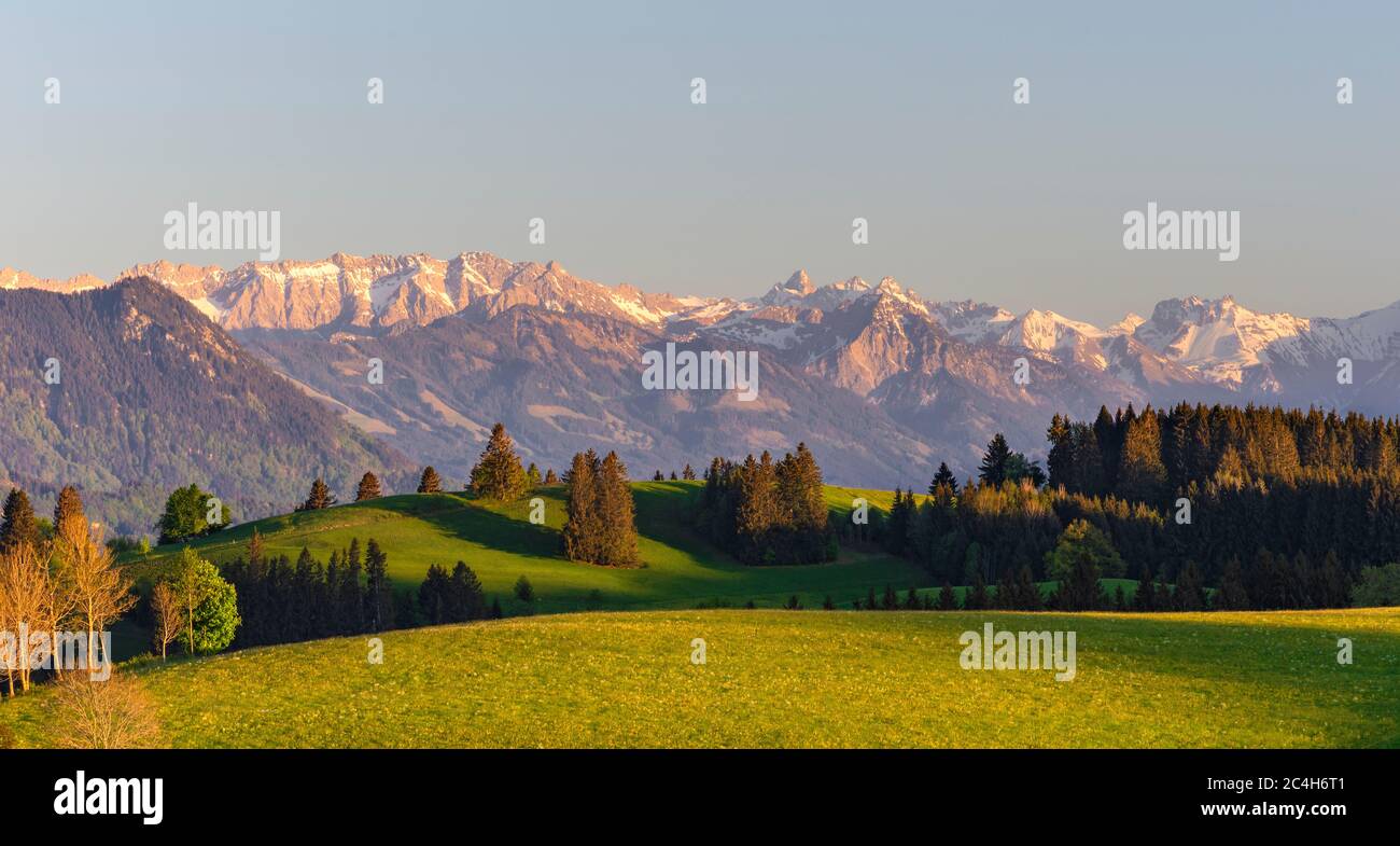 Soirée dans la région rurale d'Allgau avec des montagnes rocheuses en arrière-plan. Bavière, Allemagne Banque D'Images