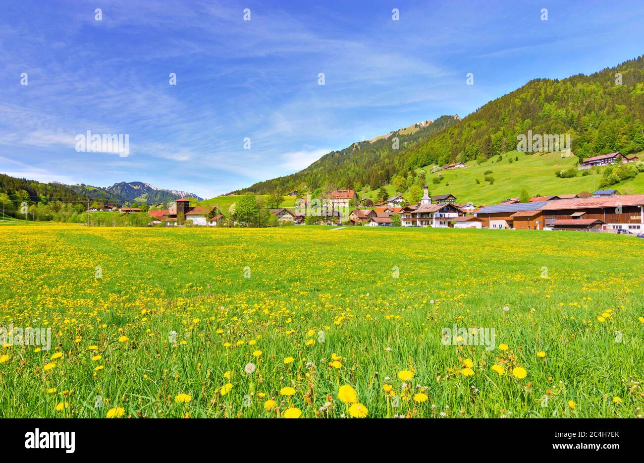 Village de montagne Gunzesried avec prairie de fleurs au printemps. Allgau, Bavière, Allemagne Banque D'Images