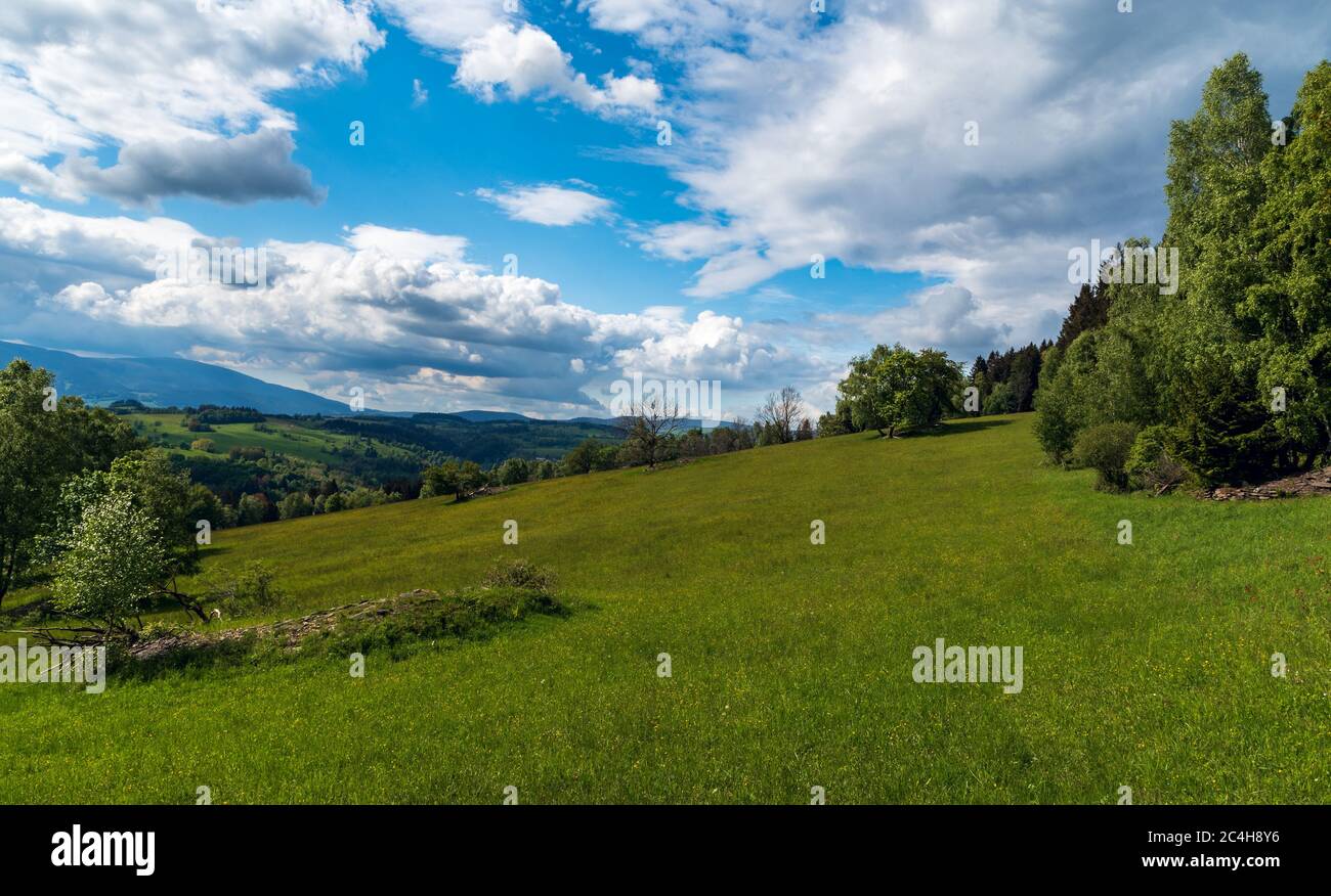 Pré de montagne avec arbres et collines sur le fond au-dessus du village Branna dans les montagnes jéeniky en République tchèque pendant le printemps jour avec le bleu sk Banque D'Images