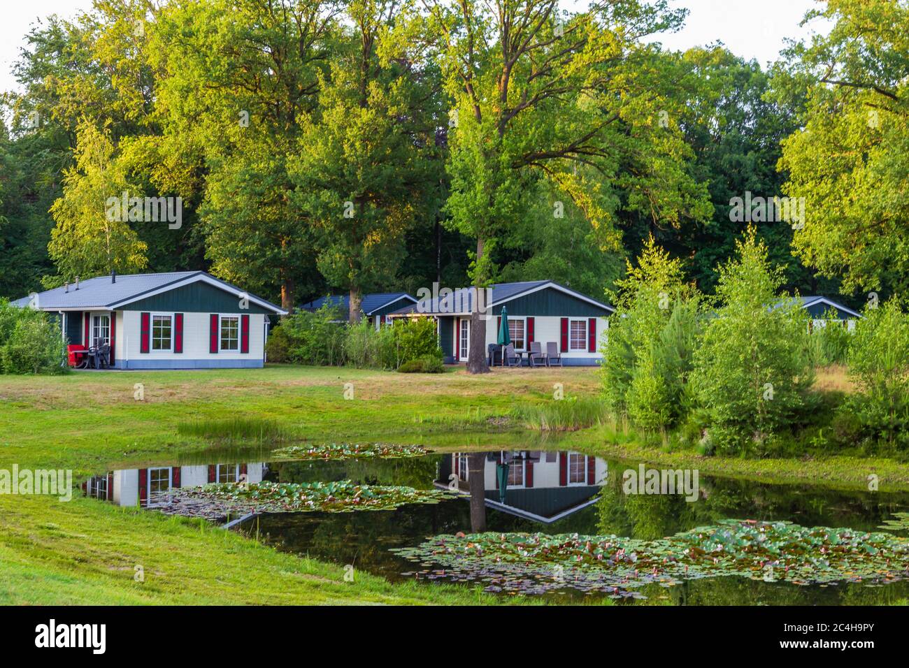Rangée de maisons de vacances en bois colorées se reflète dans un étang au parc de loisirs au milieu de la nature aux pays-Bas Banque D'Images