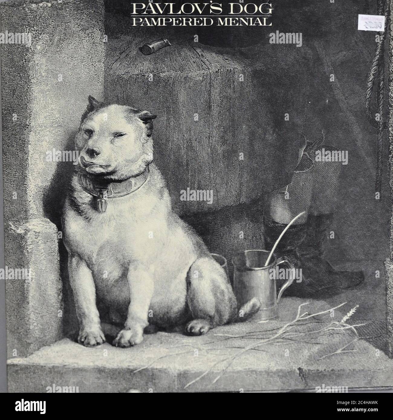 Pavlov's Dog Menial choyé 12'' LP Vinyl - Vintage Record Cover 02 Banque D'Images