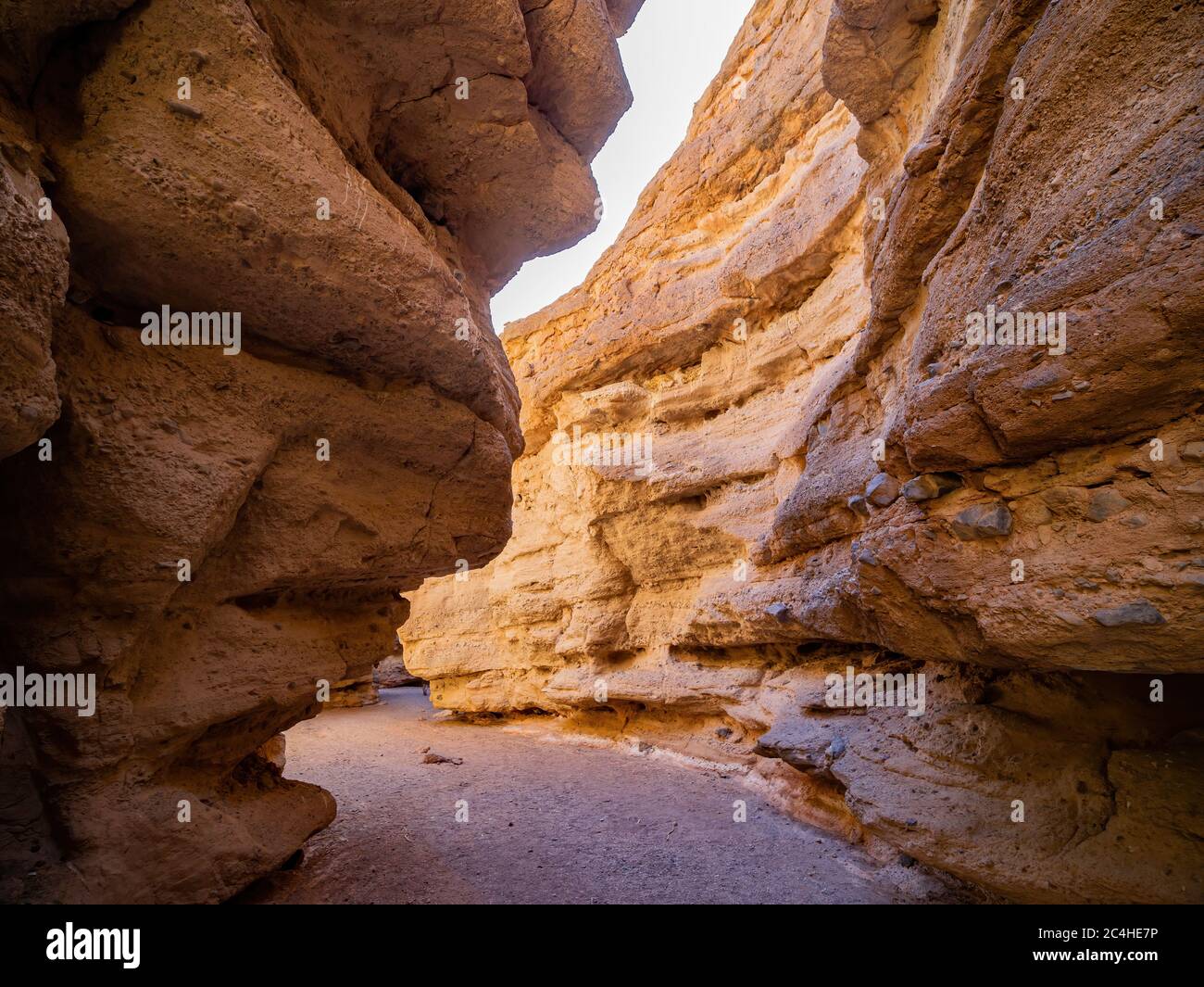 Magnifique paysage le long du célèbre sentier du canyon White Owl au lac Mead, Nevada Banque D'Images