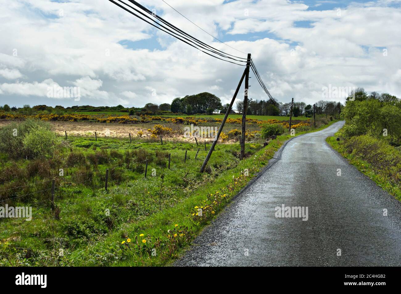 Route de campagne à travers le paysage irlandais, comté de Mayo , République d'Irlande, Europe. Banque D'Images