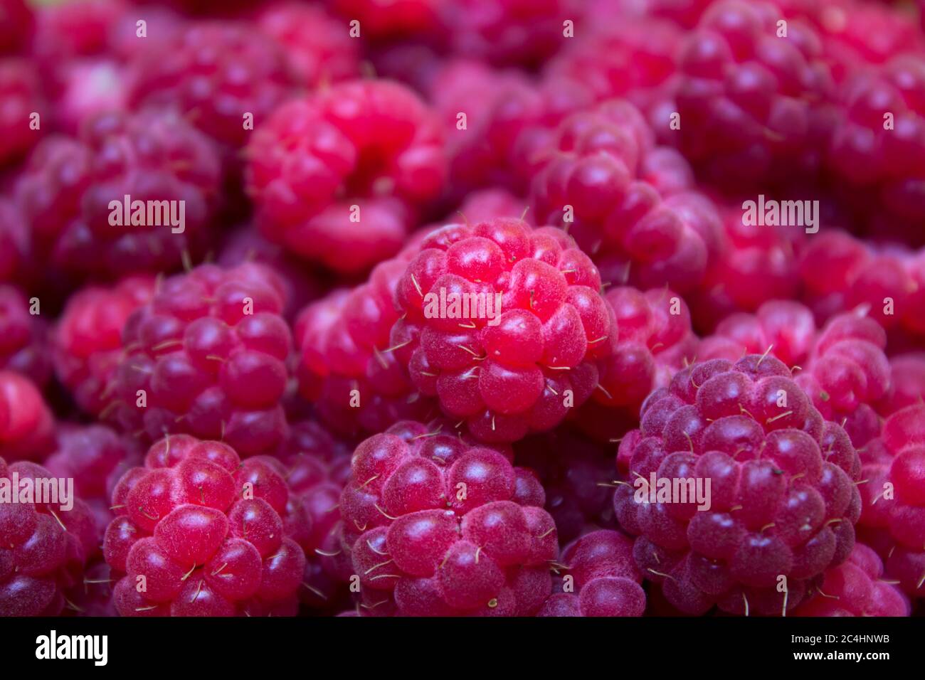 Texture foods Banque de photographies et d’images à haute résolution ...
