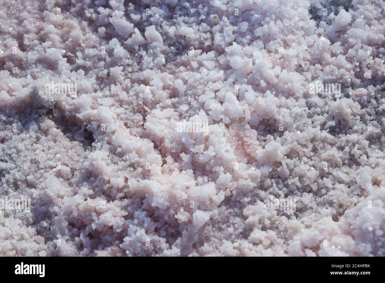 Texture du sel sur le site d'extraction du sel de mer comestible - fond de sel Banque D'Images