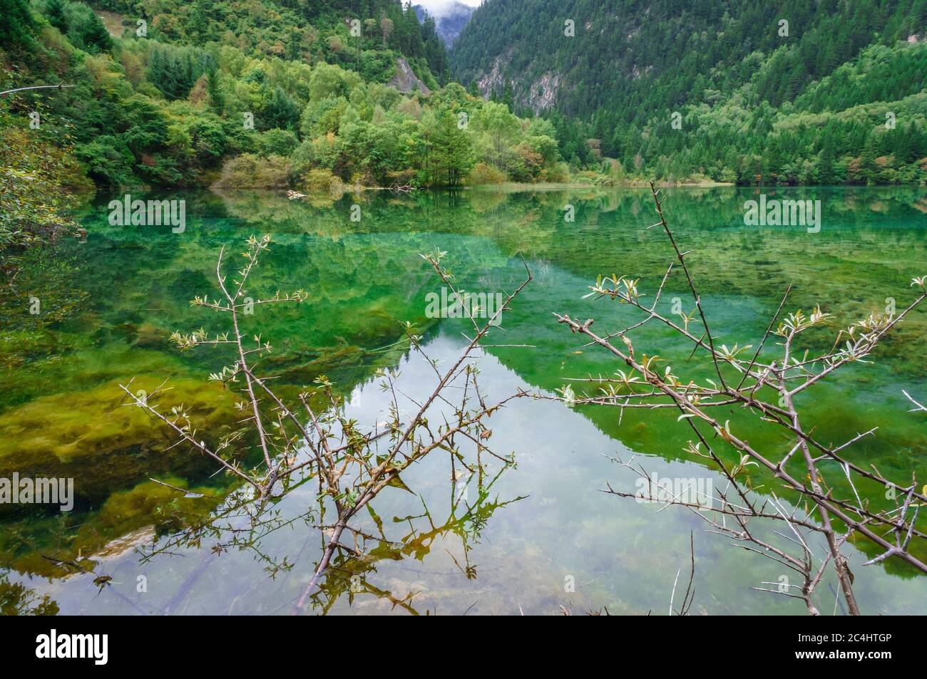Paysage magnifique et frais paysage dans la vallée avec vue sur les  montagnes, reflet du lac clair de cristal avec des algues et des arbres  parfait pour l'esprit relaxant Photo Stock -