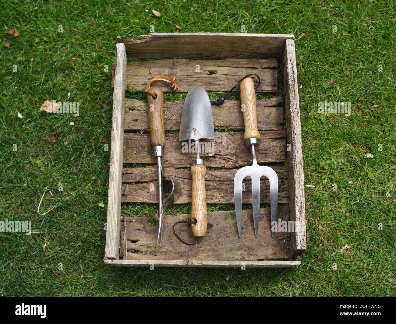 outils de jardin dans une ancienne boîte encadrée Banque D'Images