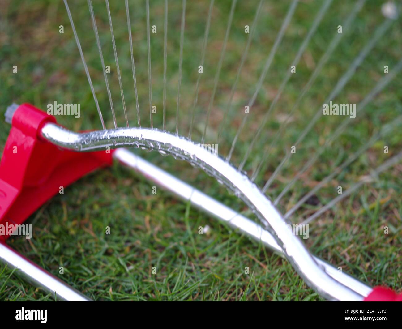 Arrosage Jardin Banque D'Images