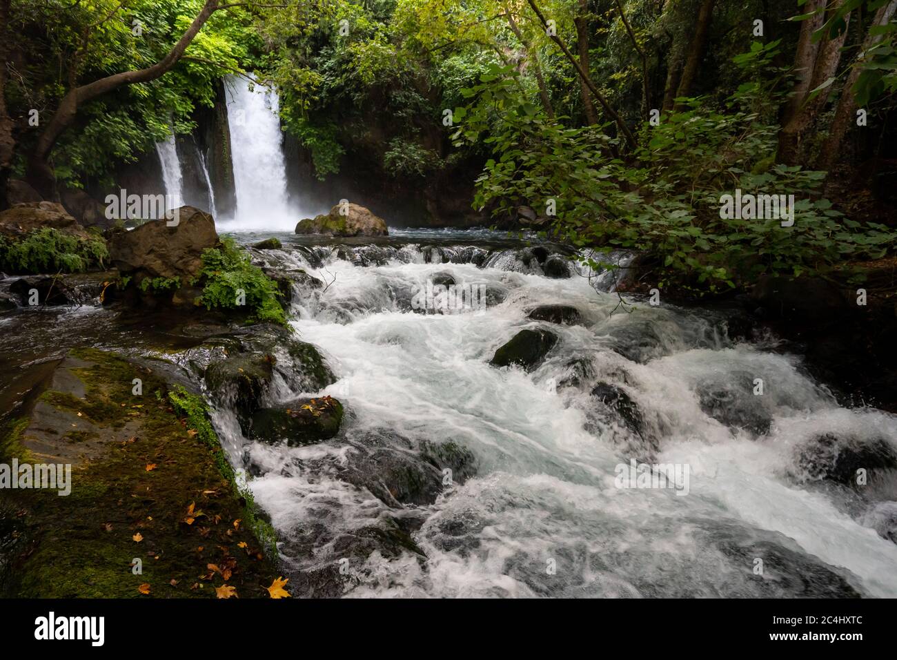 Hermon Stream - Banias Stream- ahal Hermon également connu sous le nom de Nahal Banias est une rivière dans le Golan Heights. C'est l'extrême est des trois principaux norther Banque D'Images