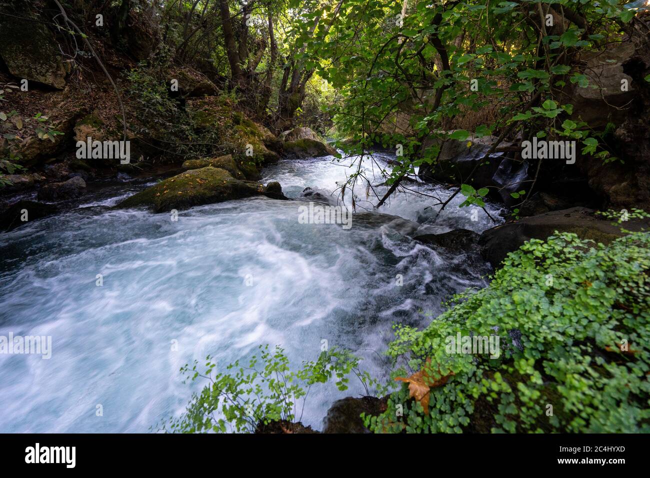 Hermon Stream - Banias Stream- ahal Hermon également connu sous le nom de Nahal Banias est une rivière dans le Golan Heights. C'est l'extrême est des trois principaux norther Banque D'Images