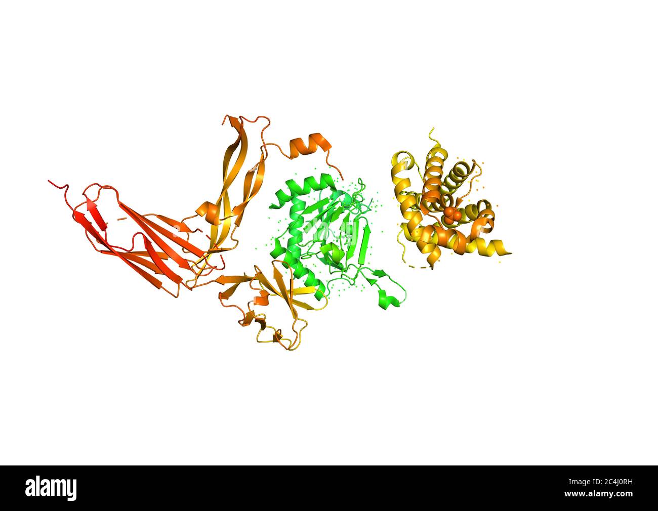 Rendu 3D. Structure de la molécule de protéine, un activateur de l'angiogenèse. Modèle cristallin de rayons X d'une des sous-unités de la molecle hif1A Banque D'Images