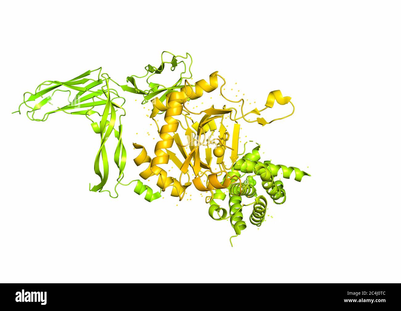 Rendu 3D. Structure de la molécule de protéine, un activateur de l'angiogenèse. Modèle cristallin de rayons X d'une des sous-unités de la molecle hif1A Banque D'Images