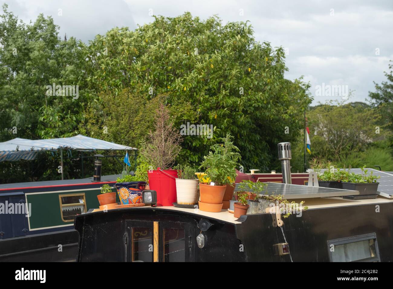 Pots de plantes fleuris colorés vus sur un bateau privé sur un canal sur une célèbre voie navigable anglaise. Banque D'Images