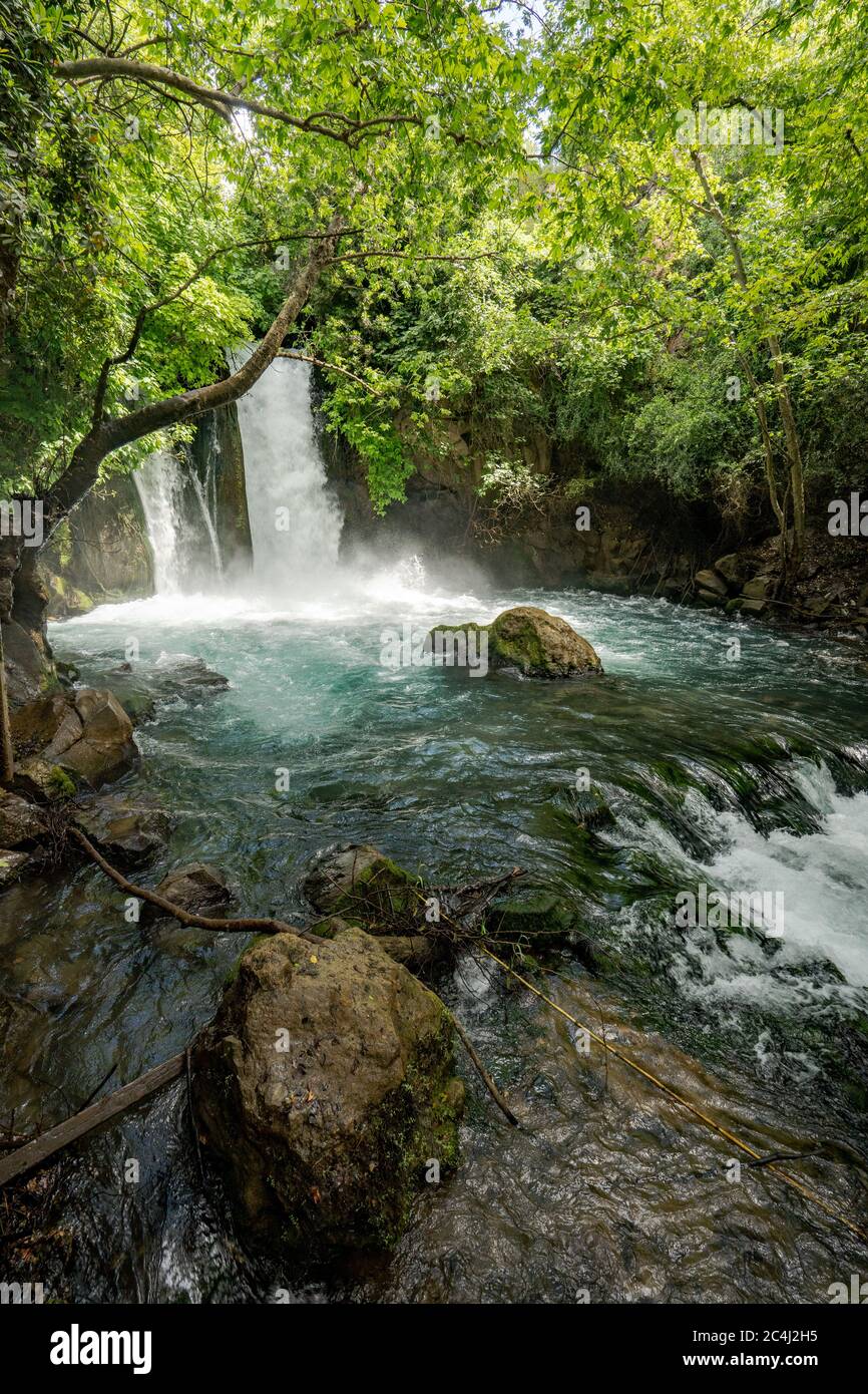 Hermon Stream - Banias Stream- ahal Hermon également connu sous le nom de Nahal Banias est une rivière dans le Golan Heights. C'est l'extrême est des trois principaux norther Banque D'Images