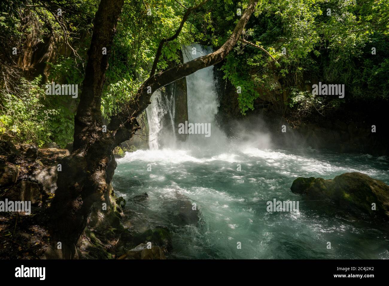 Hermon Stream - Banias Stream- ahal Hermon également connu sous le nom de Nahal Banias est une rivière dans le Golan Heights. C'est l'extrême est des trois principaux norther Banque D'Images