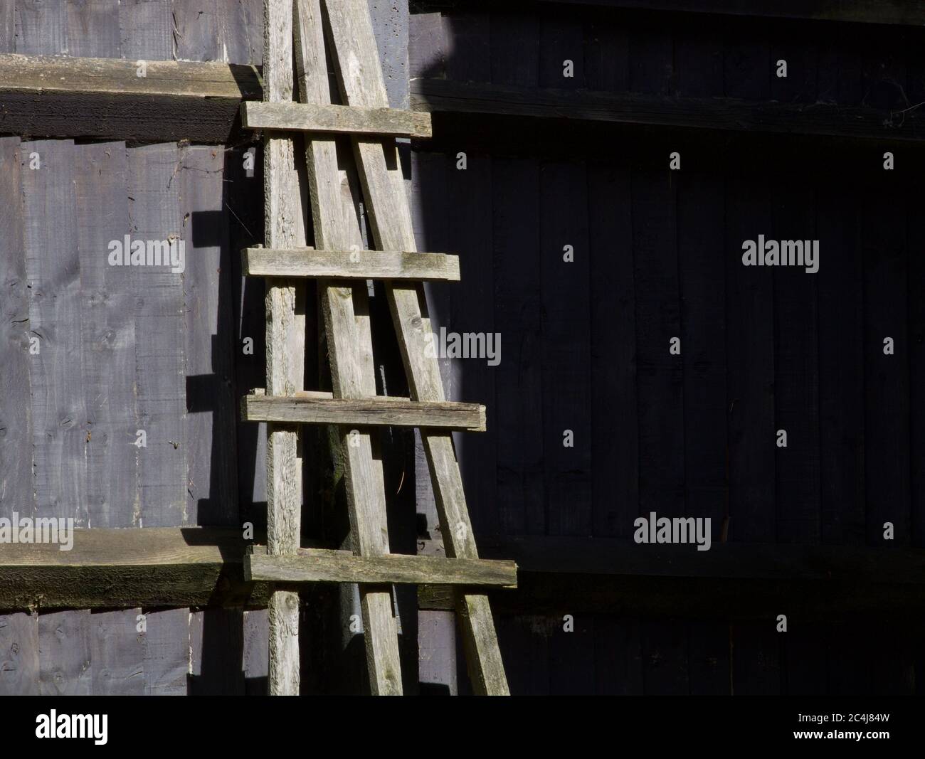 Treillis en bois reposant sur une clôture en bois avec un espace de copie sombre Banque D'Images