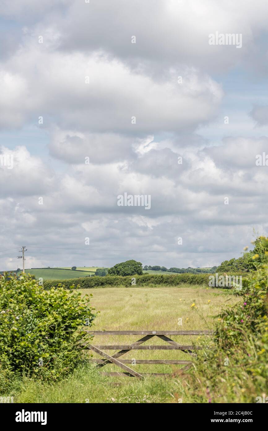 Nuages Moody sur le champ de foin, Cornwall. Concept agricole et agricole britannique, champ de jachère. La zone de mise au point est le champ et la haie au-dessus de la porte. Banque D'Images Nuages Moody sur le champ de foin, Cornwall. Concept agricole et agricole britannique, champ de jachère. La zone de mise au point est le champ et la haie au-dessus de la porte. Banque D'Images