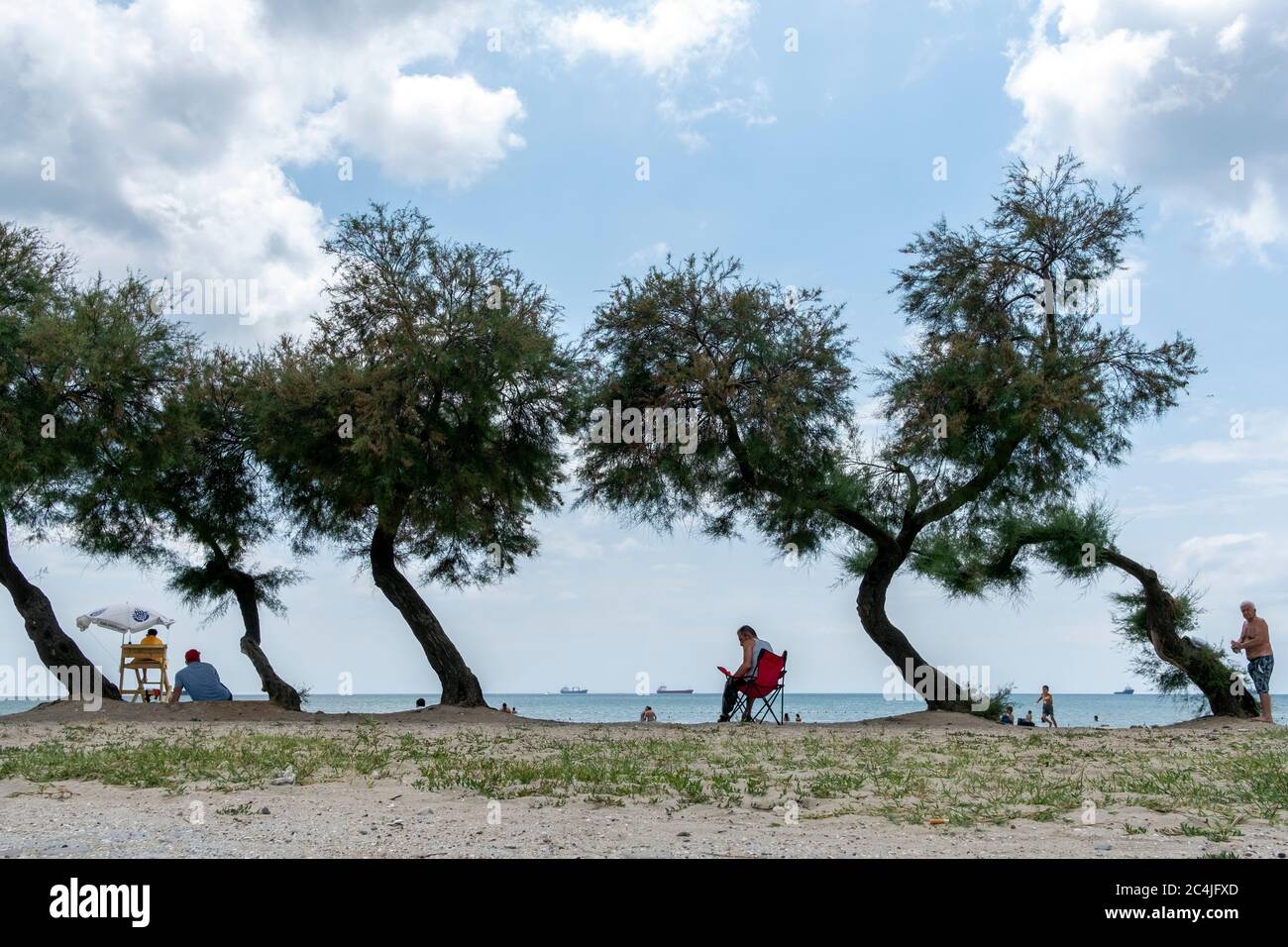 Arbres croqués au bord de la mer à istanbul. Des arbres croqués sur la plage. Les gens de la plage en été. Banque D'Images