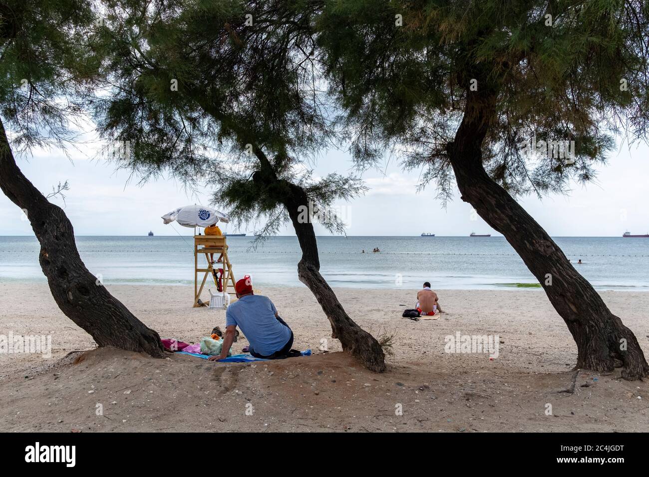 Arbres croqués au bord de la mer à istanbul. Des arbres croqués sur la plage. Les gens de la plage en été. Banque D'Images