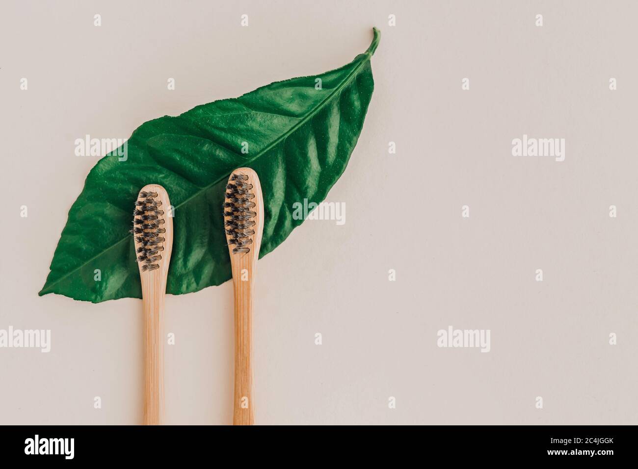 Brosses à dents naturelles en bambou et feuilles fraîches sur fond pâle. Zéro déchet et concept sans plastique. Concept de mode de vie durable. Banque D'Images