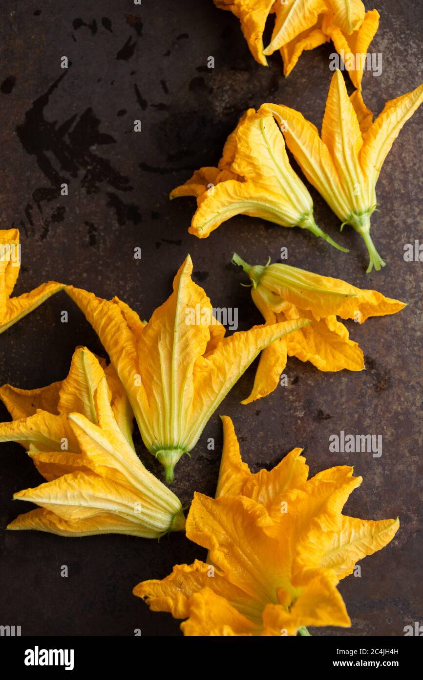 Fleur de courgettes, prêt à cuisiner Banque D'Images
