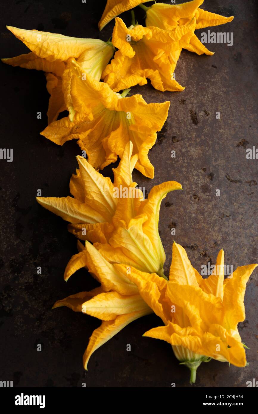 Fleur de courgettes, prêt à cuisiner Banque D'Images