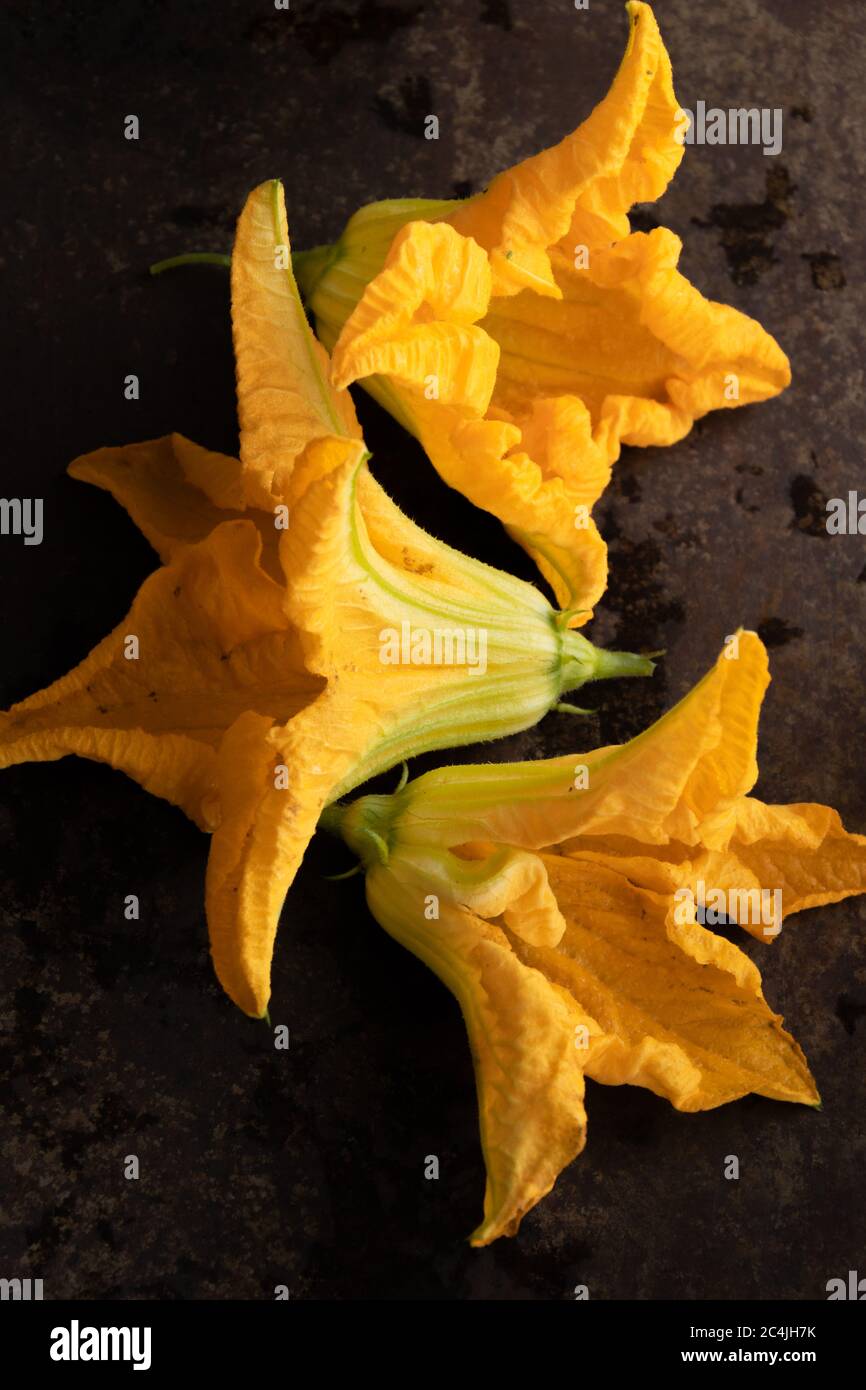 Fleur de courgettes, prêt à cuisiner Banque D'Images