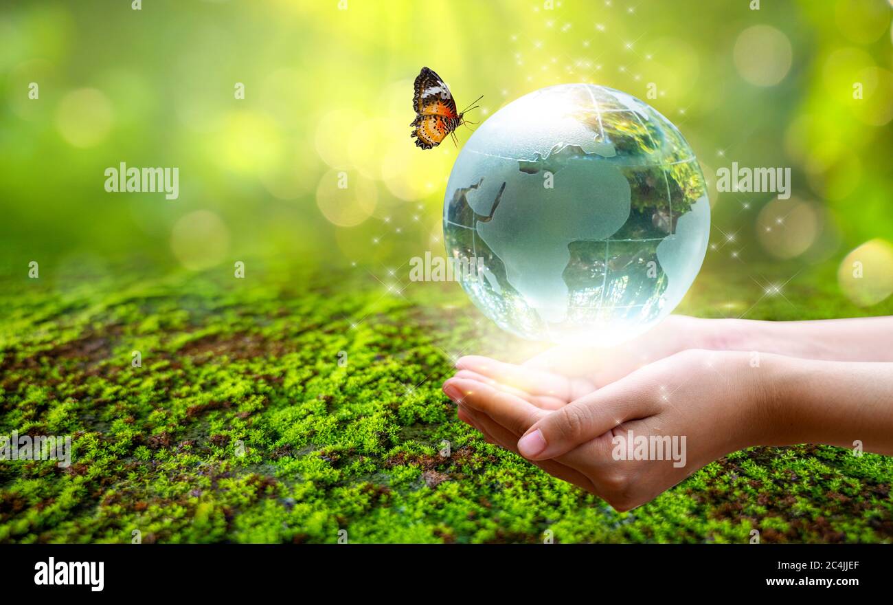 Un homme avec un globe en verre concept jour Terre sauver le monde environnement le monde est dans l'herbe du fond vert bokeh Banque D'Images