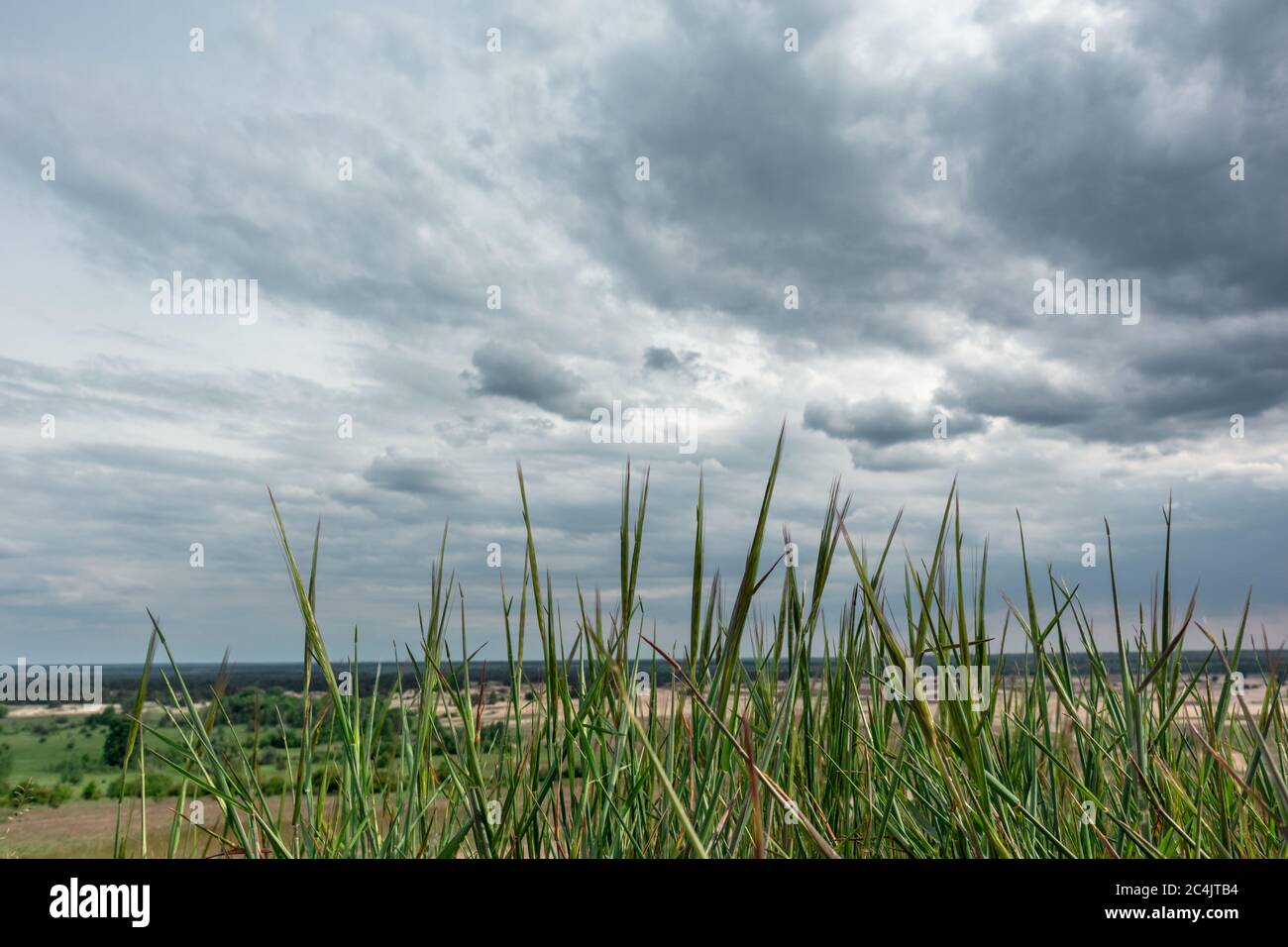 Herbe verte vive avec ciel gris spectaculaire. Kitsevka désert de sable vallonné en Ukraine, région de Kharkiv paysage Banque D'Images