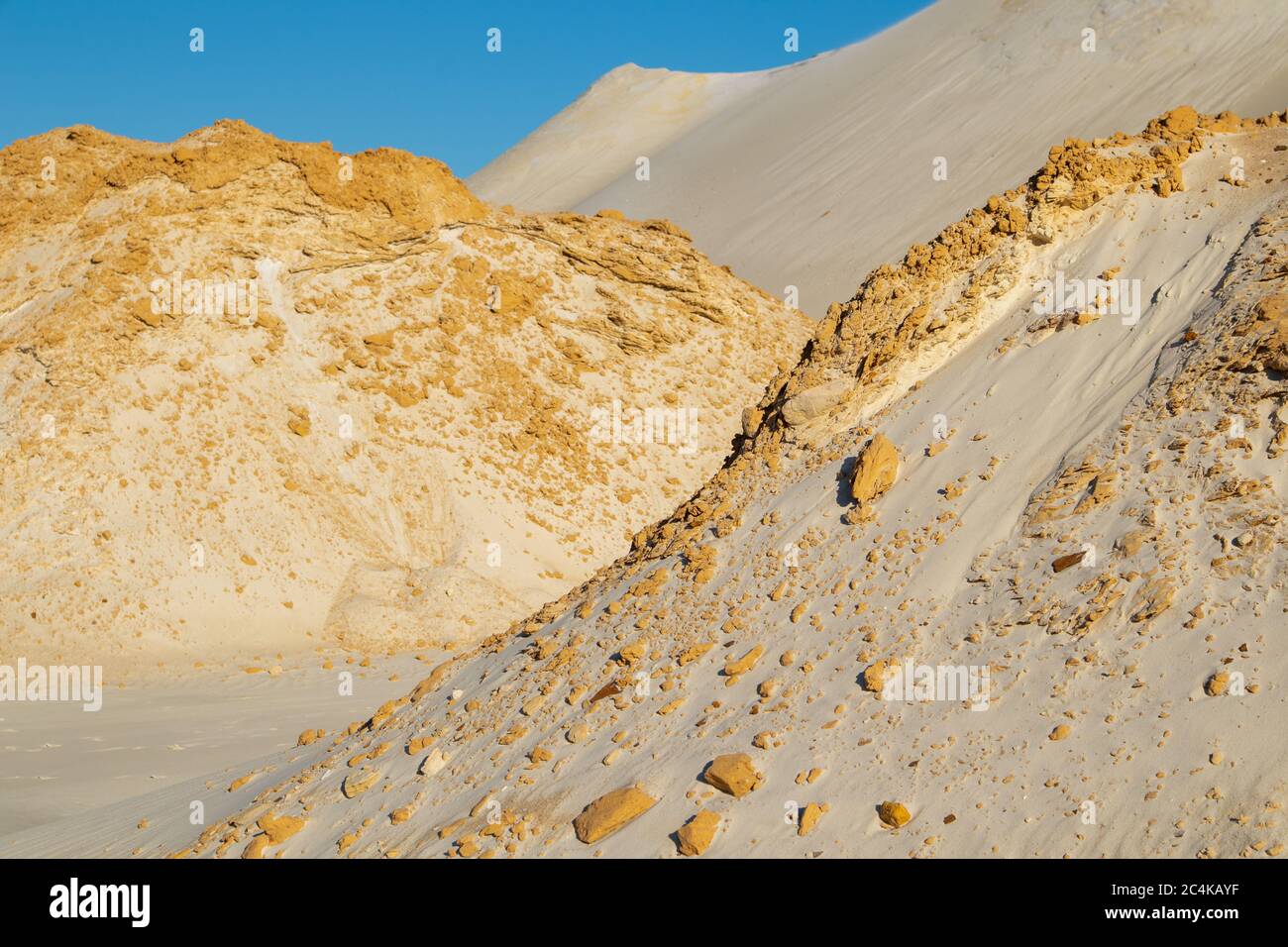 Vagues de sable dans le désert. Buissons dans le sable. Sable pétrifié. Banque D'Images