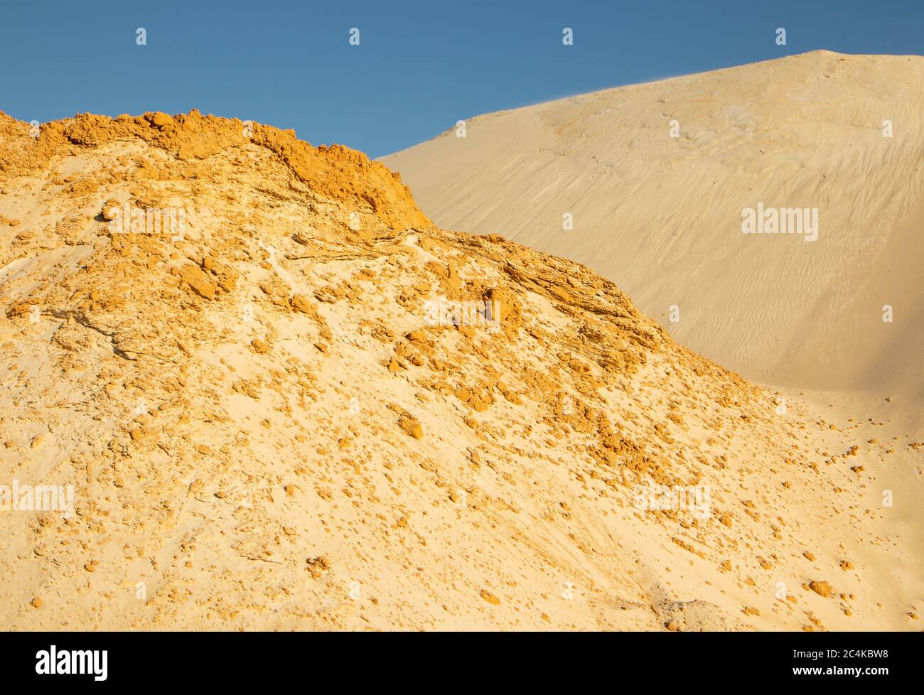 Vagues de sable dans le désert. Buissons dans le sable. Sable pétrifié. Banque D'Images