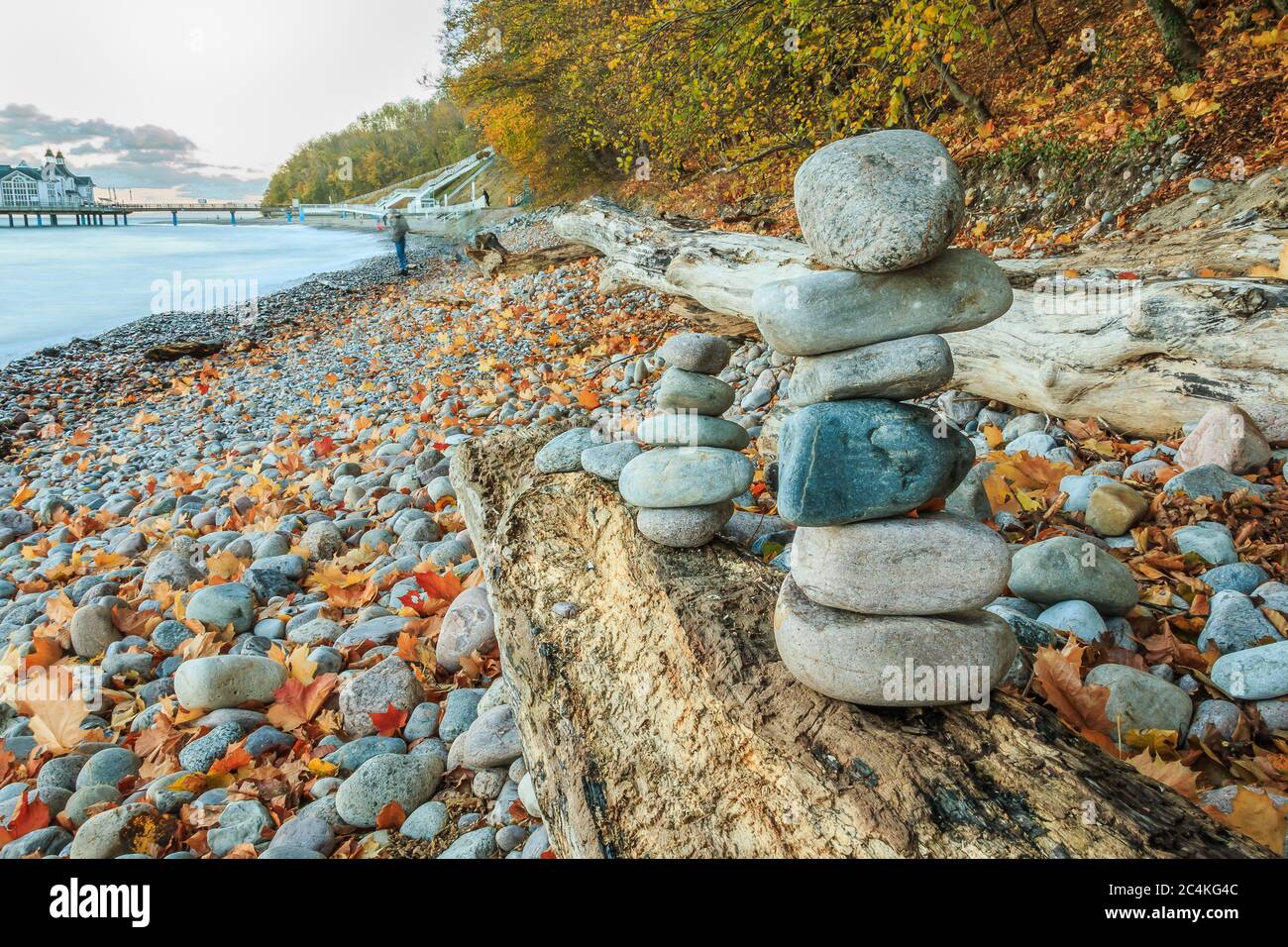 Plage de Stony sur la côte de la mer Baltique. Côte au coucher du soleil avec nuages sur l'île de Ruegen. Des hommes de pierre sur une vieille bûche et un automne décidus Banque D'Images