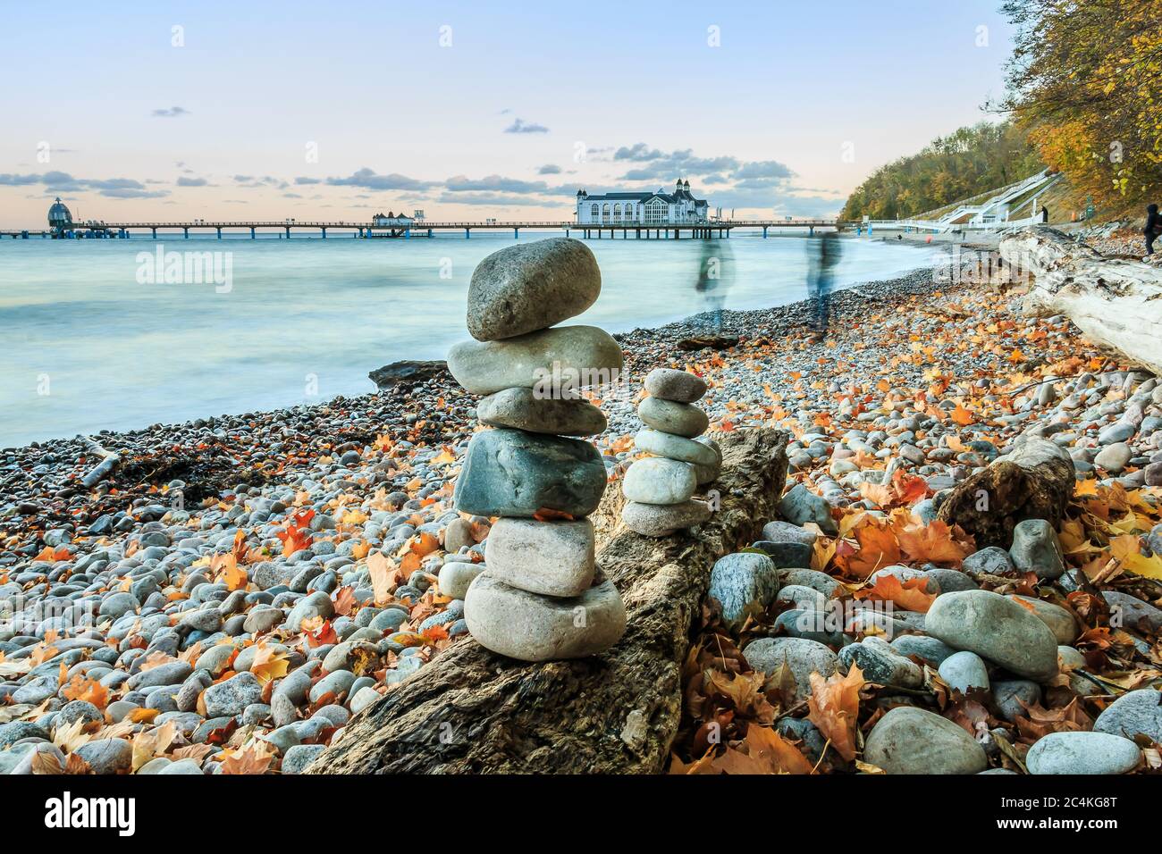 Plage sur la côte de la mer Baltique. Côte de Stony au coucher du soleil avec des nuages sur l'île de Ruegen. Des hommes de pierre sur un vieux tronc d'arbre et un aute à feuilles caduques Banque D'Images