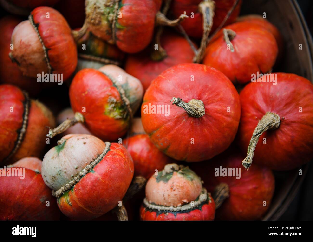 Red Turban squash à vendre sur le marché Banque D'Images