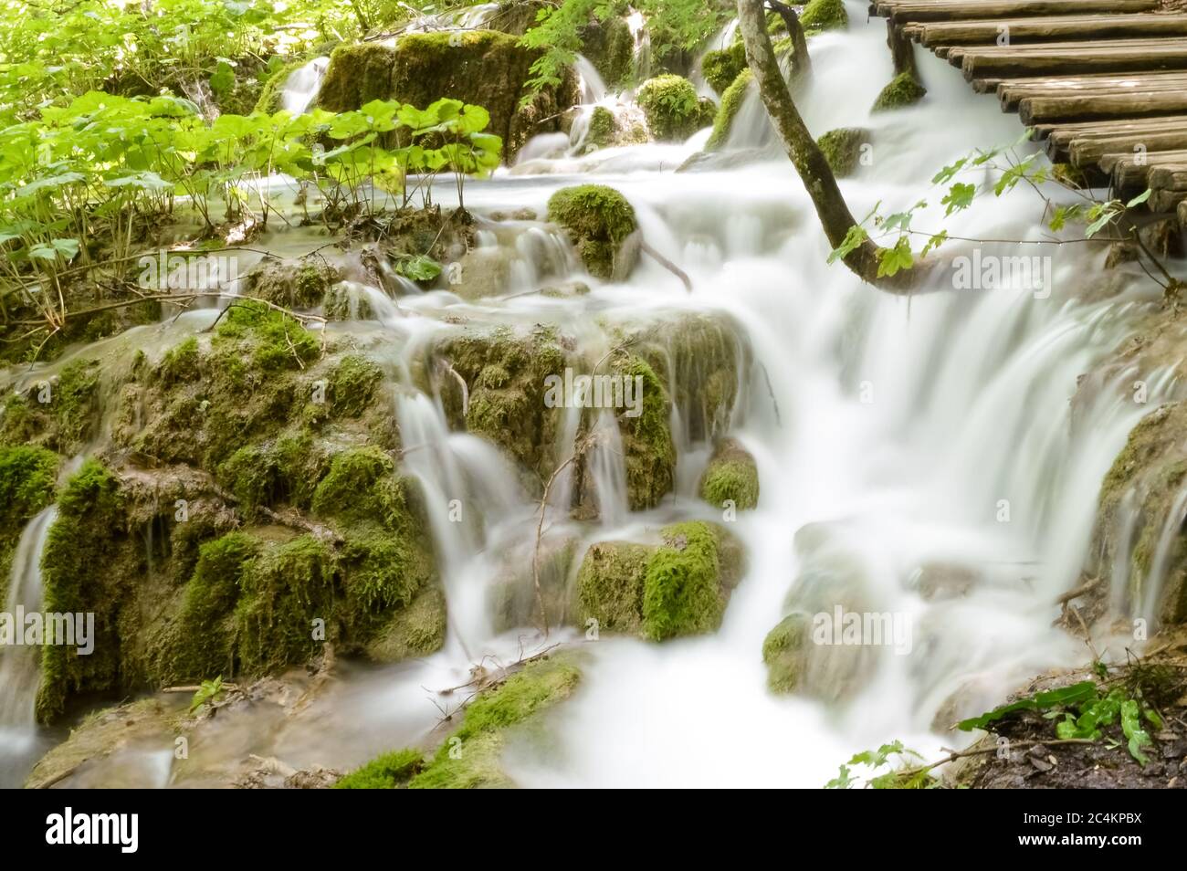 Cascade lisse avec marches et fond vert, lacs de Plitvice, Croatie Banque D'Images
