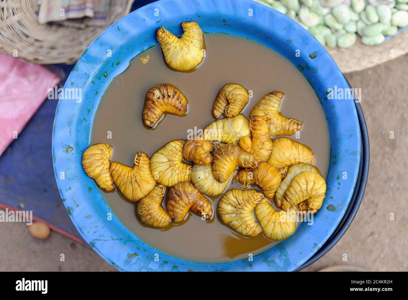 Larves de charançon de palmier modifiables à vendre sur le marché de l'État de Heho Shan Myanmar Banque D'Images
