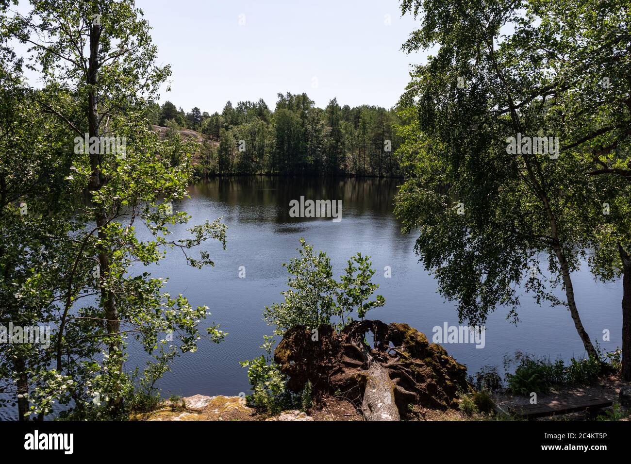 L'étang de l'île de Vallisaari, archipel d'Helsinki, Finlande Banque D'Images