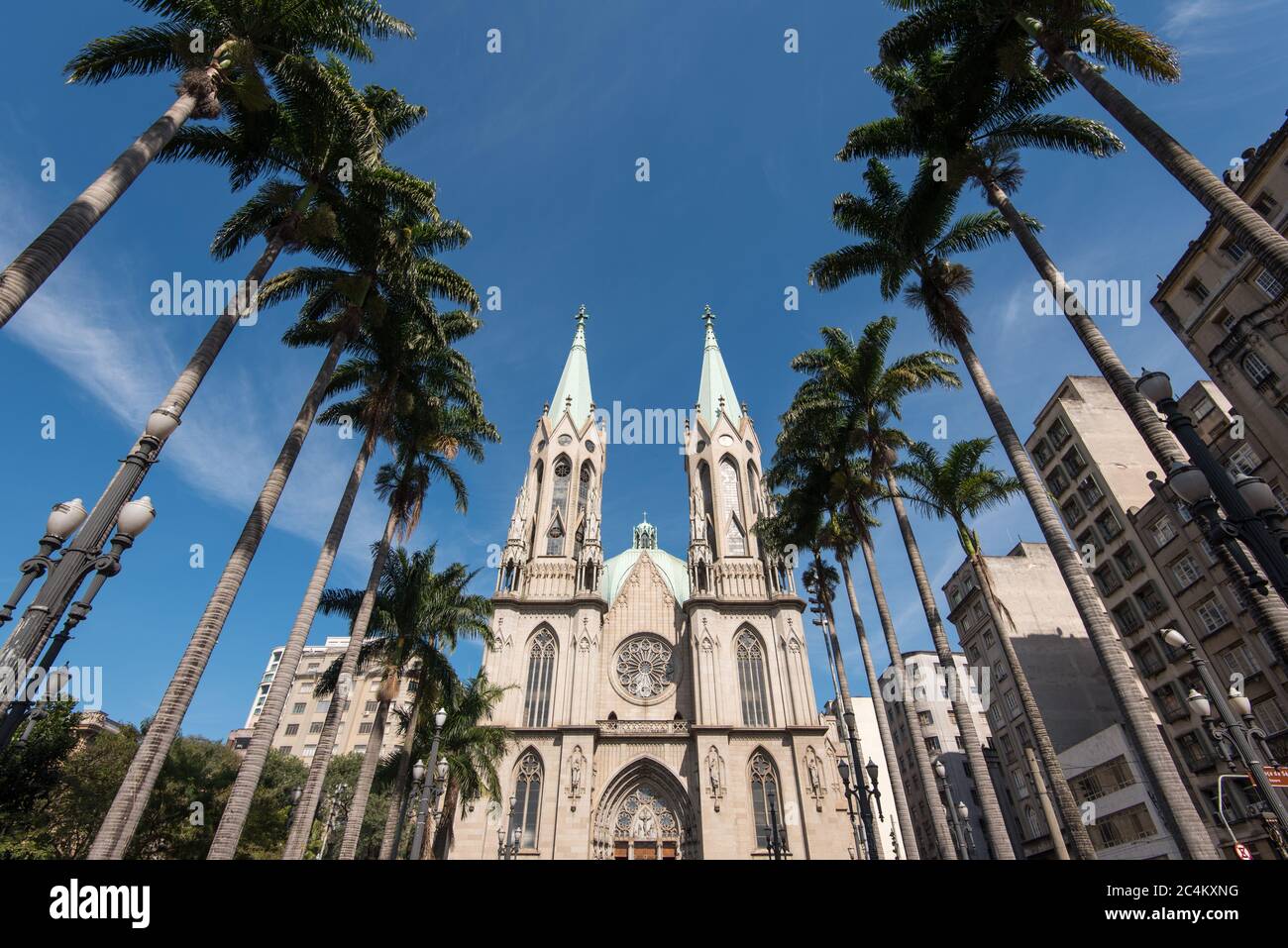 Vue sur la cathédrale se entre les palmiers dans le vieux centre de Sao Paulo, Brésil Banque D'Images